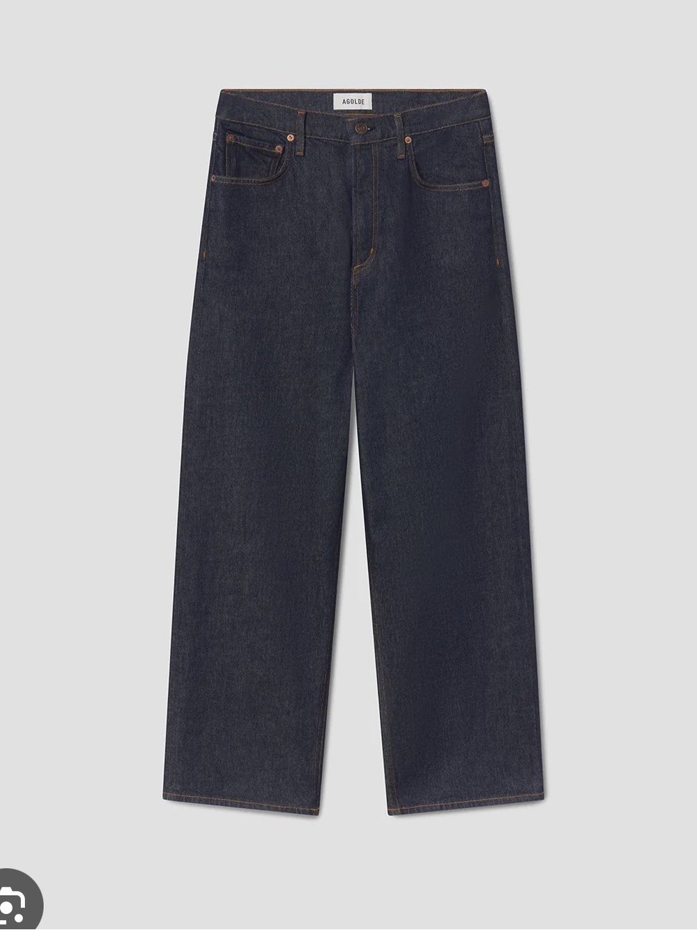 NWT Agolde Ren Wide Leg Jeans